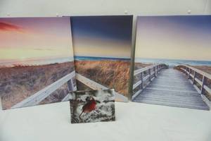 lot 131 image: Canvas art pictures, Florida and other