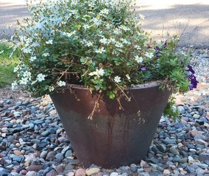 lot 3 image: Oversized Earthenware Garden Planter - C