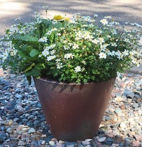 lot 2 image: Oversized Earthenware Garden Planter - B