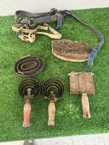 lot 75 image: HorseLivestock Brushes