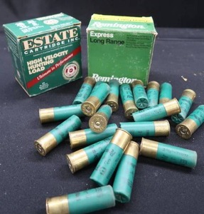 lot 215 image: 16 GAUGE RELOADS