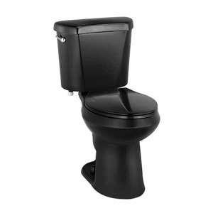 lot 175 image: 12 inch Rough In Two-Piece 1.28 GPF Single Flush Elongated Toilet in Black Seat Included