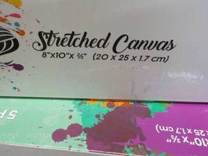 lot 75 image: 10 x 8 x 10 Daveliou Stretched Can...