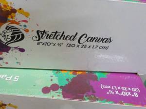 lot 76 image: 10 x 8 x 10 Daveliou Stretched Can...