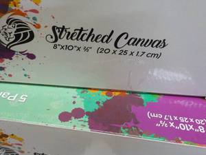 lot 77 image: 10 x 8 x 10 Daveliou Stretched Can...