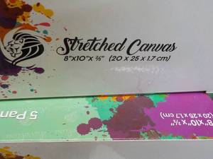 lot 78 image: 10 x 8 x 10 Daveliou Stretched Can...