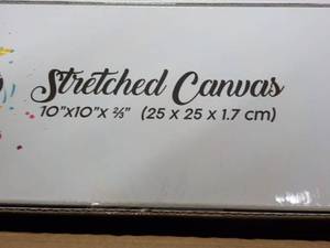 lot 80 image: 10 x 10 x 10 Stretched Canvas Pane...