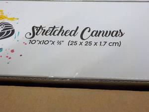 lot 81 image: 10 x 10 x 10 Stretched Canvas Pane...