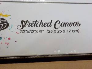 lot 85 image: 10 x 10 x 10 Stretched Canvas Pane...