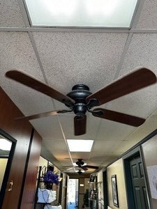 lot 48 image: 52 Inch Hampton Bay Ceiling Fan