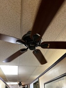 lot 52 image: 52 Inch Hampton Bay Ceiling Fan