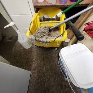 lot 61 image: Mop Bucket And Mops