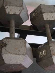 lot 10 image: 90 LB DUMBELLS
