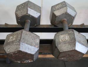 lot 12 image: 70 LB DUMBELLS