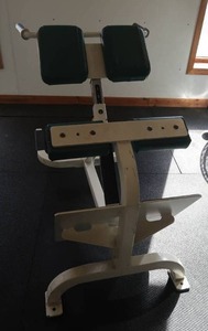 lot 7 image: CYBEX BACK EXTENSION