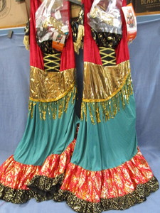 lot 5 image: Adult Fortune Teller Costumes - New