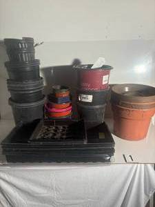 lot 1 image: Empty Potting Containers -Strange first auction item-