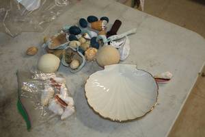 lot 342 image: Assorted Home Dcor - Sea Shells, Shell Dish, Dried Nuts and Fruits