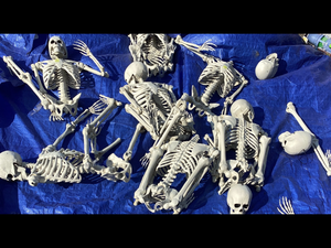 lot 700 image: LOT OF Skeletons Halloween Outdoor Decorations