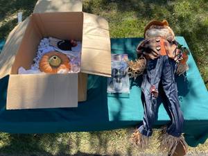 lot 72 image: Halloween Decoration Lot with Scarecrow and Pumpkins