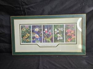 lot 244 image: Framed Art Print Growing Wild in Minnesota