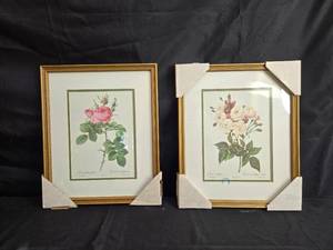 lot 247 image: Set of Two Framed Botanical Prints - Rosa Botanicals