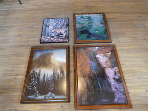 lot 22 image: 4 Scenic and Wildlife Framed Prints