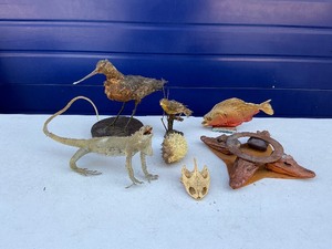Taxidermy Lot