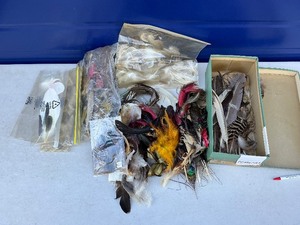 Box of Bird Feathers