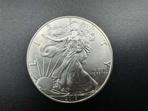 lot 35 image: 2016 Uncirculated American Siver Eagle