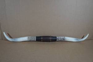 lot 26 image: 41 Longhorn Resin Horns