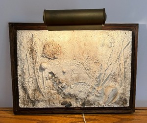 lot 93 image: Fossil Like Artwork with Attached Accent Lamp