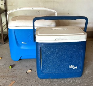 lot 210 image: Two Igloo Coolers
