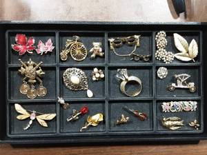 Assortment Of Brooches