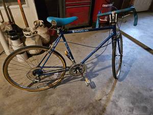 Huffy Omni 10 speed