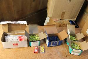 lot 202 image: Assortment of Electrical Connectors and Accessories - Various Types