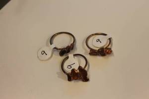 lot 340 image: Set of 3 Vintage Rings with Unique Stone Settings