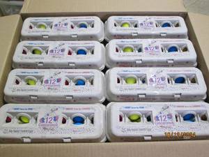 case of 24 silly rabbit confetti eg...