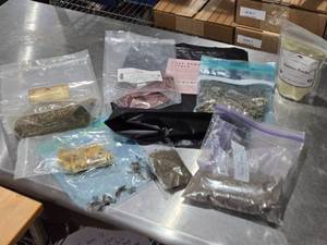 lot 446 image: Assorted Herbal and Plant Powders Lot