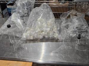 lot 534 image: Lot of Clear Plastic Bottles and Spray Caps