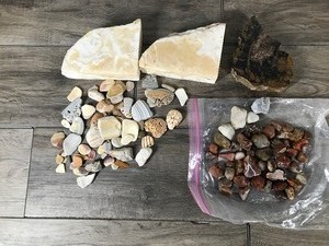 lot 110 image: Lot of Rocks with Agates and Shells