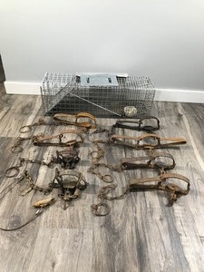 lot 487 image: Animal Live Trap & 8 Traps for Trapping