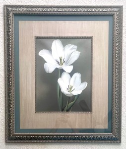 lot 20 image: Tulipano by Andrea Trivelli Framed Print