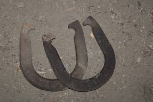 lot 64 image: Vintage Horseshoes Set of 3