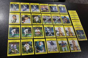 lot 264 image: 1991 Fleer Baseball In Person Autograph Lot  34 Cards