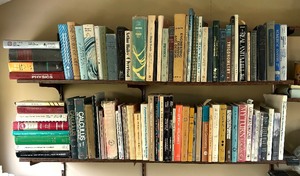 lot 225 image: Books on Physics, Calculus, Artificial Intelligence and More
