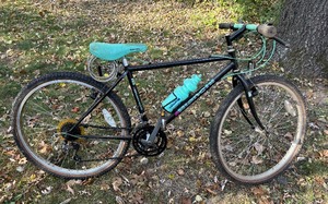 lot 384 image: Bianchi Forte Bicycle