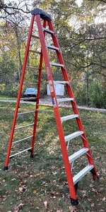 lot 389 image: Werner NXT1A10 Ladder