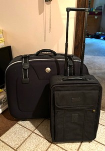 lot 107C image: Two Suitcases by Anshun and Travel Pro