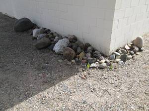 lot 152 image: Variety of medium to large landscap...